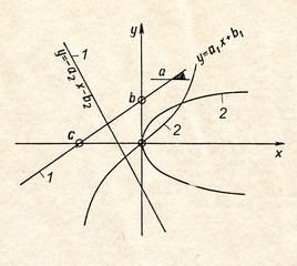 Straight lines and curves in the system of coordinates