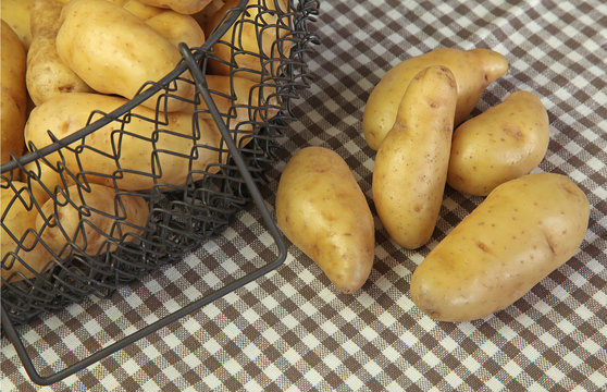 pomme de terre ratte