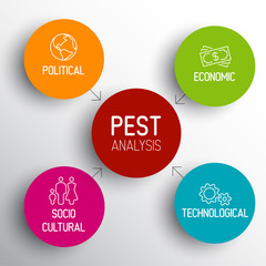 Vector PEST diagram schema