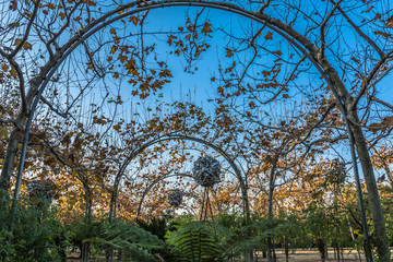 Natural Attraction at Parc del Centre del Poblenou