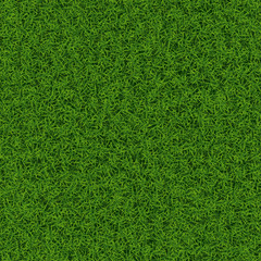 Green grass seamless background texture, vector illustration.