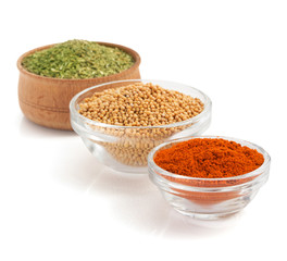 food ingredients and spices on white