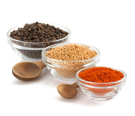 food ingredients and spices on white