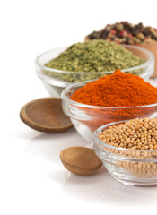 food ingredients and spices on white