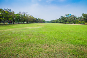 Fototapeta na wymiar Green field lined by trees on clear day