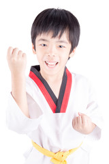 little boy in a Taekwondo suit isolated on white background
