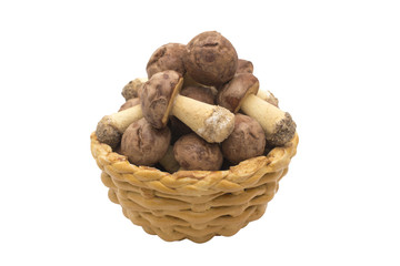 baking in form of mushrooms isolated on a white background