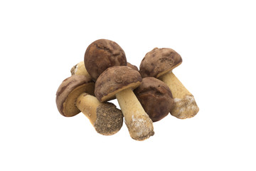 baking in form of mushrooms isolated on a white background