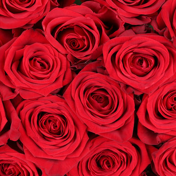Hintergrund Rosen zum Valentinstag, Geburtstag oder Muttertag