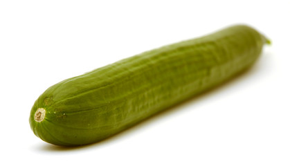 Salatgurke