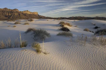 Fotobehang Salt Basin Dunes in Guadalupe Mountains National Park © toroverde
