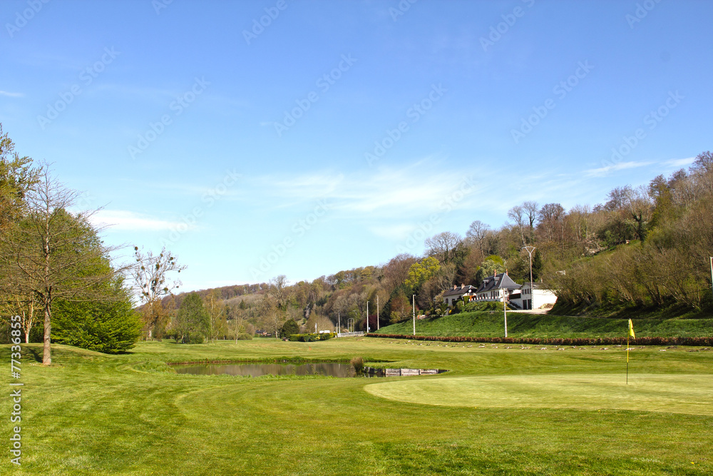 Wall mural golf course