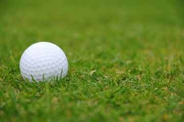 Golf ball on course