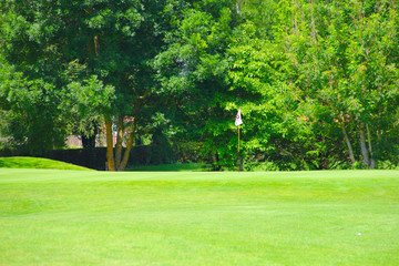 Fototapeta na wymiar Golf flag on field