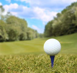 Golf ball on course