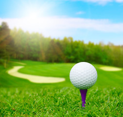 Golf ball on course