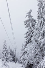 Obraz premium Deep winter
