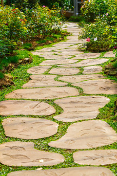 foot path in garden