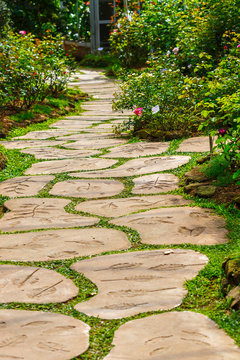 foot path in garden