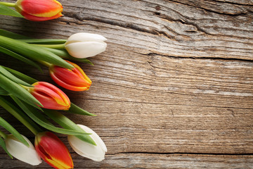 Tulips on wood background