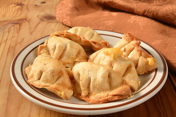 Cream cheese wontons