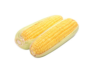 Corns with white background