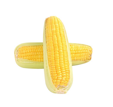 Corns with white background