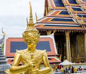 Obraz premium Golden Kinnaree in Wat Prakaew, Bangkok, Thailand