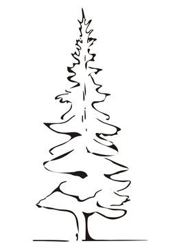 tree, black and white