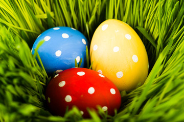 Easter eggs on green grass