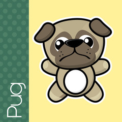 baby pug