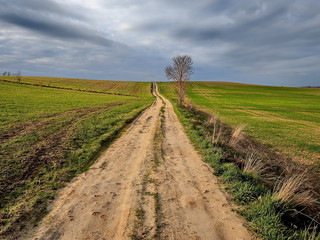 Polna drega, krajobraz wiejski, Polska, Europa