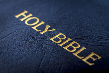 Holy Bible cover