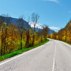 Fototapeta premium Asphalt Road