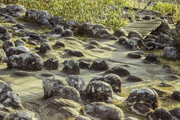 Phuhinrongkla National Park,THAILAND