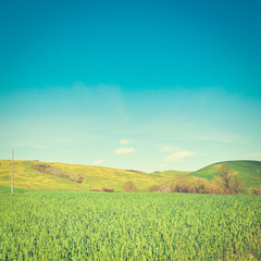 Fototapeta premium Sloping Meadows