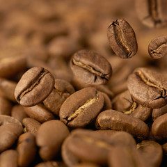 Closeup of coffee beans with focus on one