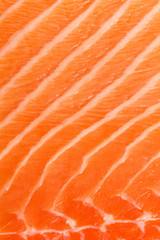 Abstract detail of raw salmon.