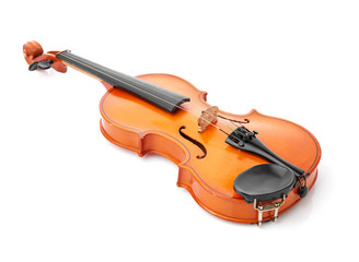 violin on white background