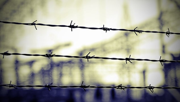lines of barbed wire to demarcate the border during the war