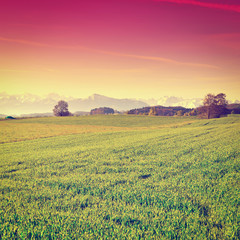 Pasture at Sunset © George