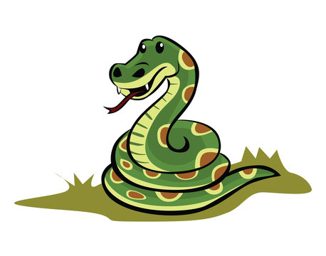 Snake Illustration Cartoon