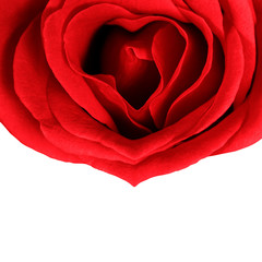 Rose in Form eines Herzens