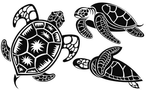 Vector illustration of turtles