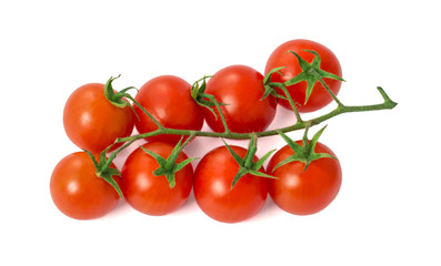 Cherry Tomatoes on Branch Isolated on White Background