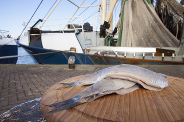 Fresh dutch haring