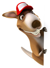 Fun kangaroo © Julien Tromeur