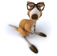 Fun kangaroo © Julien Tromeur