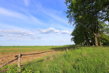 Fototapeta na wymiar Rural scene with fence in the spring