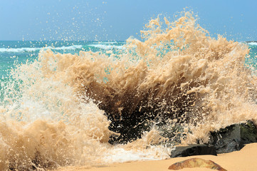 High wave breaking on the rocks